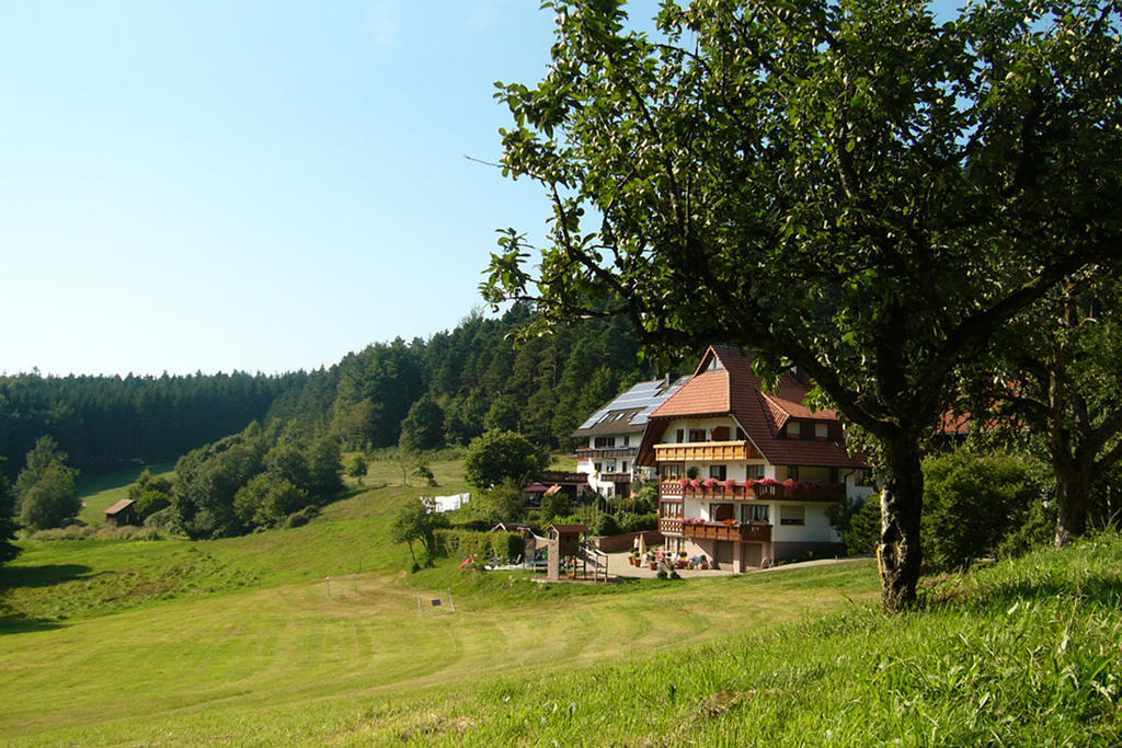 埃尔察赫Schlosshof - Der Urlaubsbauernhof别墅 外观 照片