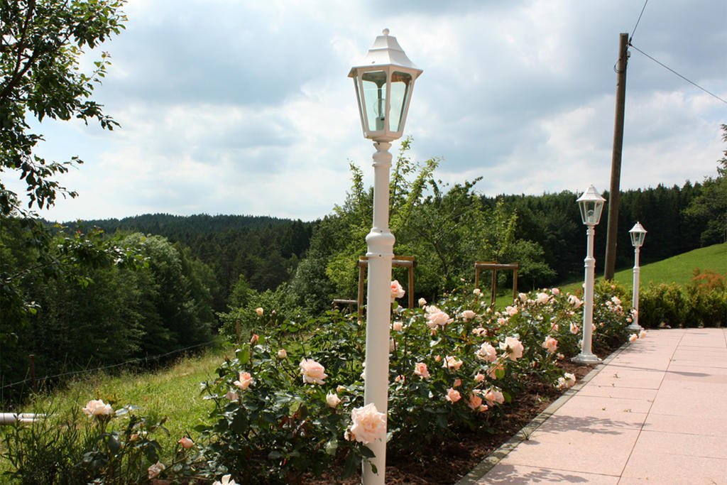 埃尔察赫Schlosshof - Der Urlaubsbauernhof别墅 外观 照片